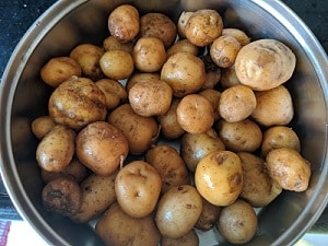 Boiled baby potatoes