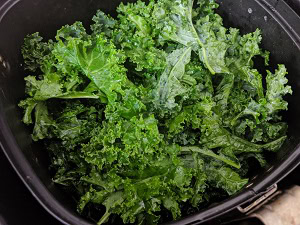 Air Frying the Kale for chips
