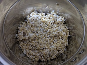 soaked and drained oats and rice