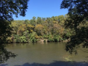 6 BEST PLACES FOR CAMPING IN LASALLE COUNTY 5_2021 IlliniStatePk Yelp