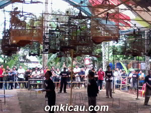 SUASANA LOMBA BURUNG MINGGU WAGE PAGERAJI PURWOKERTO Suasana di Lomba Burung Minggu Wage Pageraji Purwokerto