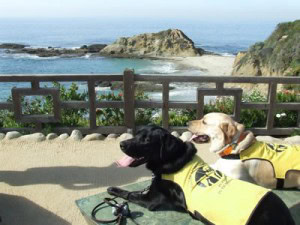 Dustin And Stetson Taking In The View Dustin And Stetson Taking In The View