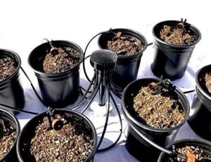 HydroLock All in One Professional Grow Kit