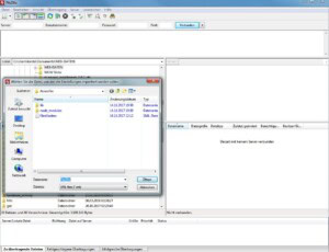 Konvertierung FIREFTP Datei für Filezilla