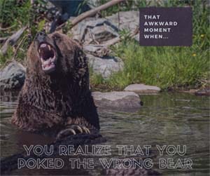 That Awkward Moment When You Realize You Poked the Wrong Bear. Material Connection Disclosure
