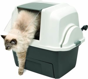 Smartsift Avis La Maison De Toilette Autonettoyante Pas Chere Smartsift Avis La Maison De Toilette Autonettoyante Pas Chere