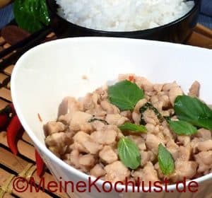 Hühnerbrust mit Chilis – Pad Kee Mao Gai