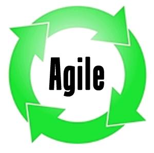 Portfolio Management and Agile Programming Portfolio Management and Agile Programming
