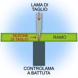 schema-taglio-battuta schema-taglio-battuta