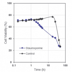 Cell Viability of BL2 cells after staurosporine treatment