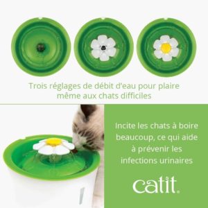 catit fontaine à eau contre infection du chat