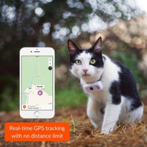 weenect cats 2