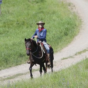 brandy-rocky-mountain-mare