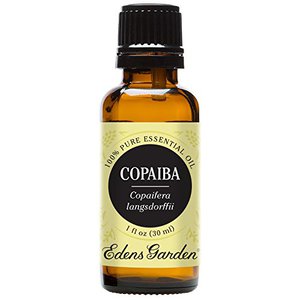 Best essential oil for anti inflammatory pain relief copaiba copaifera langsdorffii