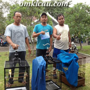 Sarwoko CJT: Kembali berjaya di kelas kenari
