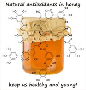 Antioxidants Local Raw Honey from Seven Gables Farm va