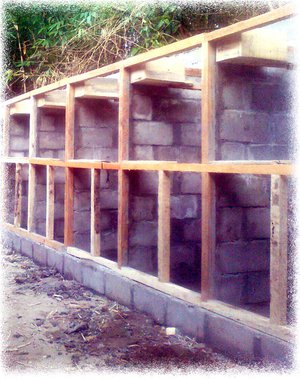 kandang-penangkaran-jalak-suren Kandang Penangkaran Jalak Suren