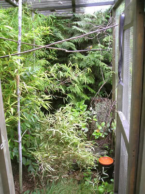 PR-breeding-aviary