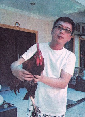 ayam ketawa