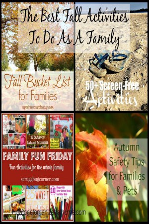 The Best Fall Activities To Do As A Family The Best Fall Activities To Do As A Family