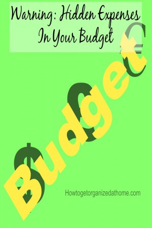 Warning: Hidden Expenses In Your Budget Finding hidden expenses in your budget can save you money each month, it is, after all, better for your money to work for you than big corporations.