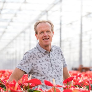 Lex Scheffers in de kas van Amazone Plants