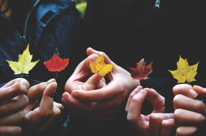 Coaching-in-Weimar