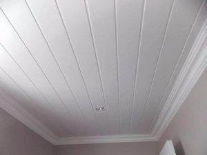 Insulation Services 1 Ceiling Insulation Professionals