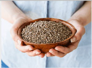 How to make hemp milk | Make hemp milk at home | How to make homemade hemp milk | Hemp milk benefits | Will hemp milk make you high? | Nutritional benefits of hemp milk; juststartwithkelly.com #hempmilk #dairyfreemilk #nutmilk #jswk