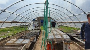 school_garden_hoop_house Harriet the Hoop House at the school garden