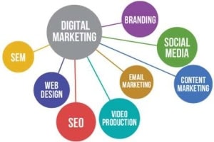seo services image