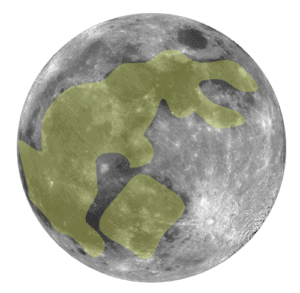 moon rabbit