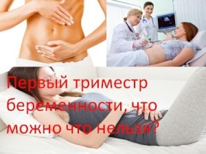 Первый триместр беременности, что можно что нельзя