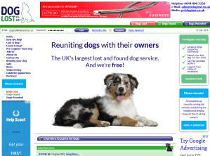 DogLost (web design & web development)