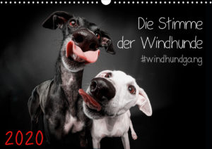 Windhundkalender