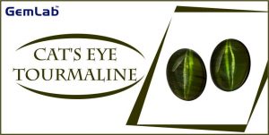 Different Types Of Cat S Eye Gemstone Gemlab Co In