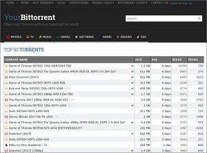 YourBitTorrent