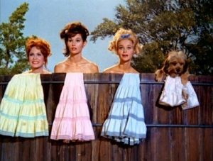 Petticoat Junction TV Show