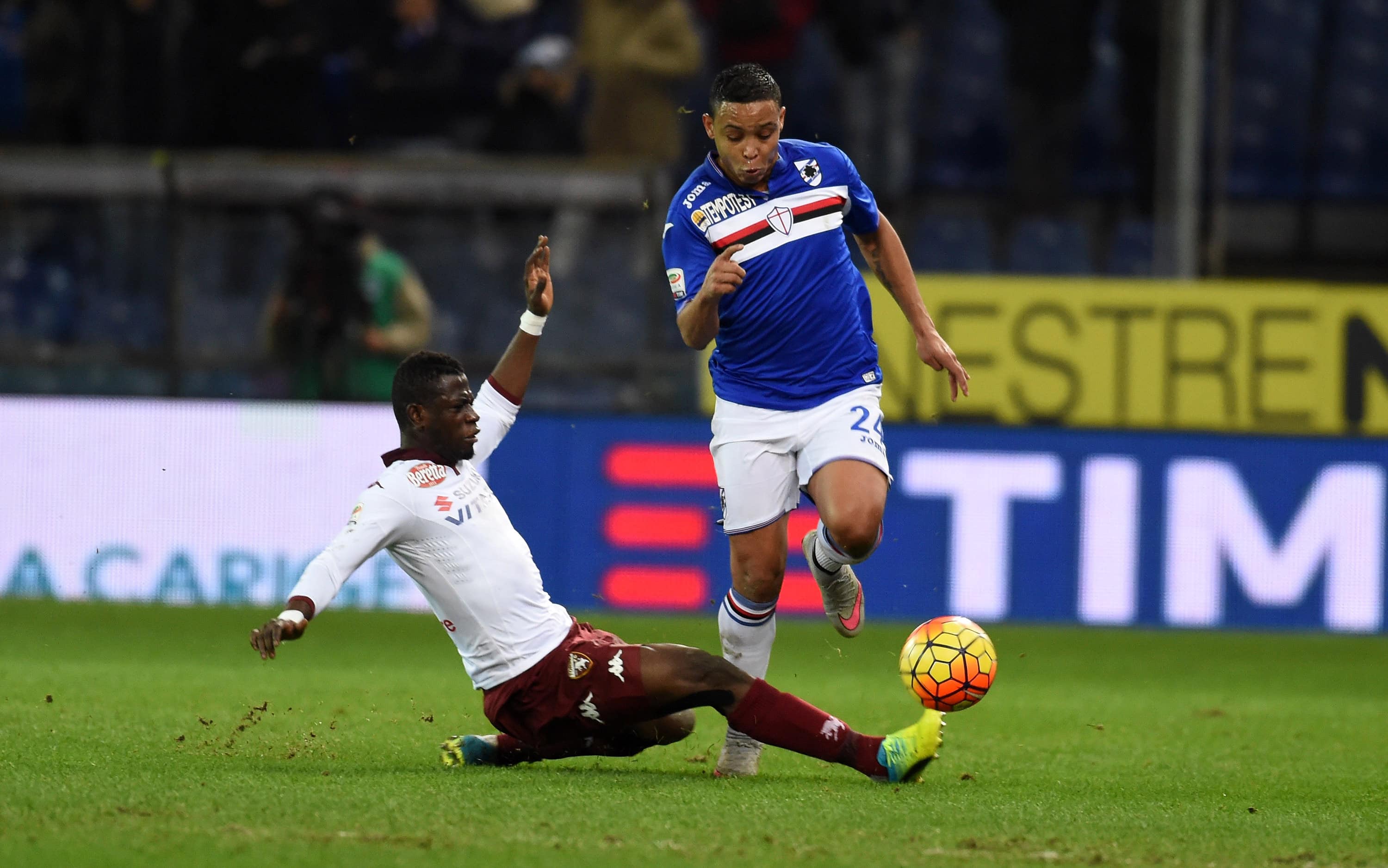 GENOA, ITALY - FEBRUARY 03: Afryie Acquah of Torino FC competes for the ball with Luis Muriel of UC Sampdoria during the Serie A match between UC Sampdoria and Torino FC at Stadio Luigi Ferraris on February 3, 2016 in Genoa, Italy. (Photo by Pier Marco Tacca/Getty Images)