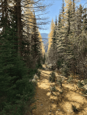 view of Bottleneck Lake and Snow Lake Trail-Kaniksu National Forest