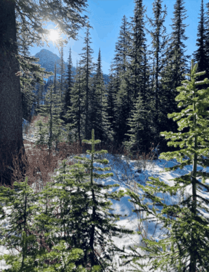 view of Bottleneck Lake and Snow Lake Trail-Kaniksu National Forest