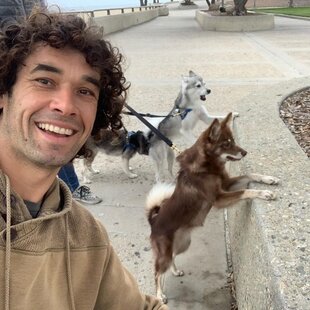 Doggy Dan Dog Trainer