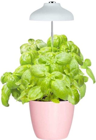 GrowLED LED Umbrella Plant Grow Light GrowLED LED Umbrella Plant Grow Light