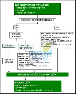 certificado DDD control plagas