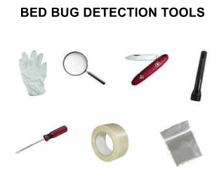 Bed Bug Inspection Tools