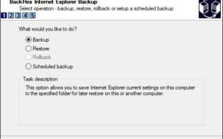 IE backup and restore options