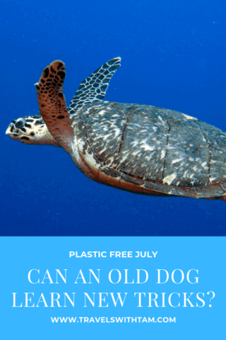 old dog learn new tricks, plastic problem, plastic free july