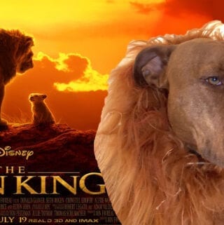 The Lion King