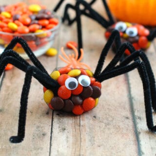 Spooky Spider Treat Bags