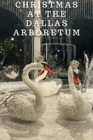 dallas arboretum, dallas, 12 days of christmas, Dallas Arboretum's 12 Days of Christmas